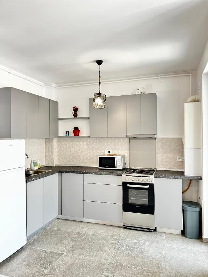 Apartment Mara 2 티미쇼아라 외부 사진